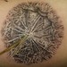 tattoo galleries/ -  - 37783